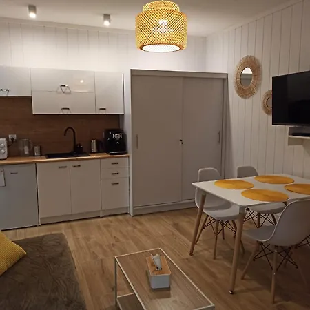 Sloneczny Z Prywatna Sauna W Stroniu Slaskim Апартаменты *